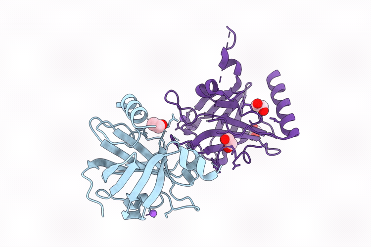 24RR image