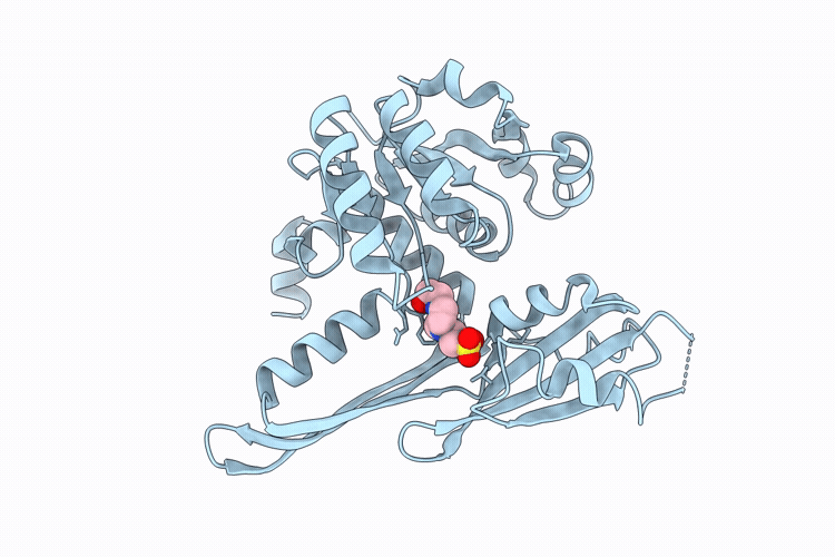 24XH image