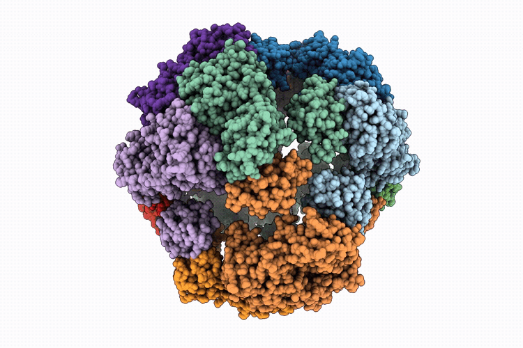 24XX image