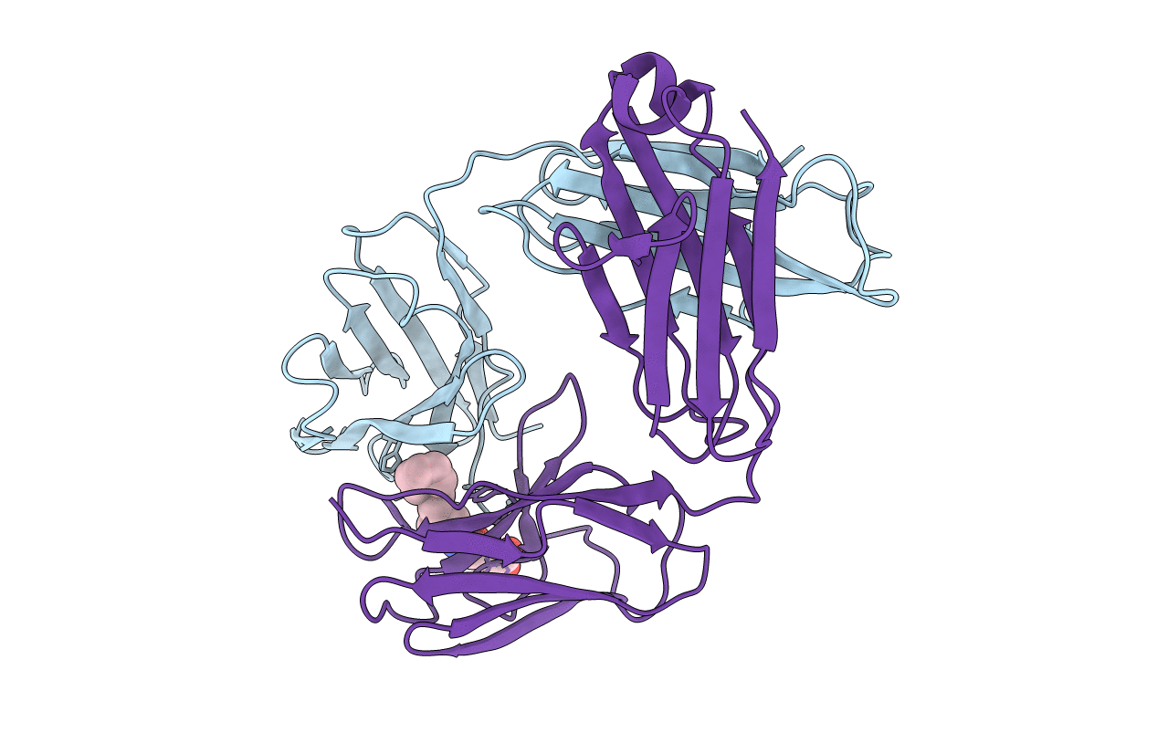 25C8 image
