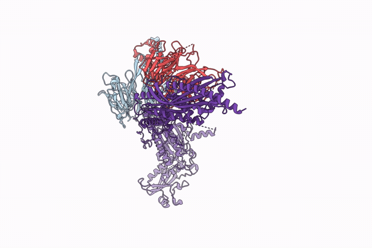 25GE image