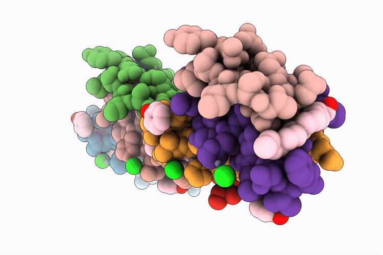 25HL image