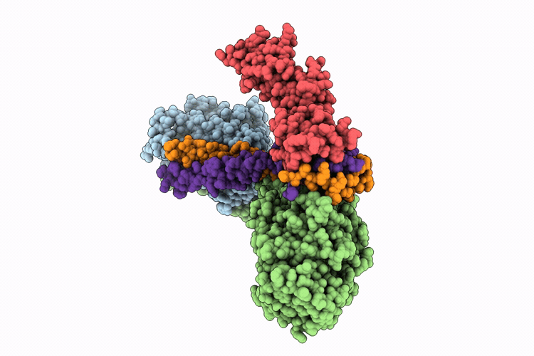 25HW image