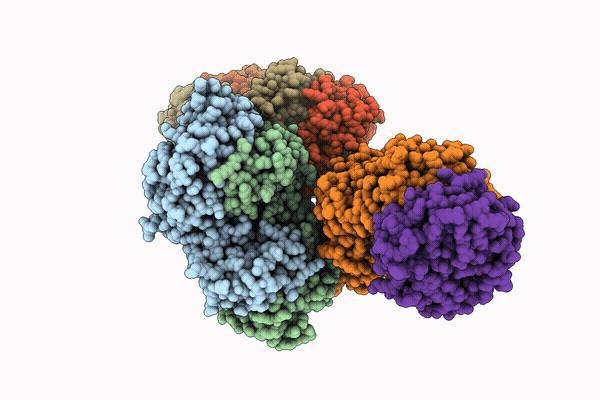 25MN image