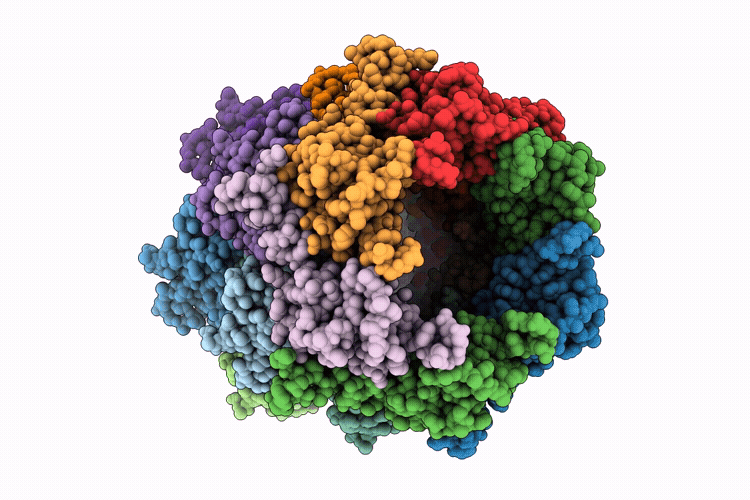 25VD image