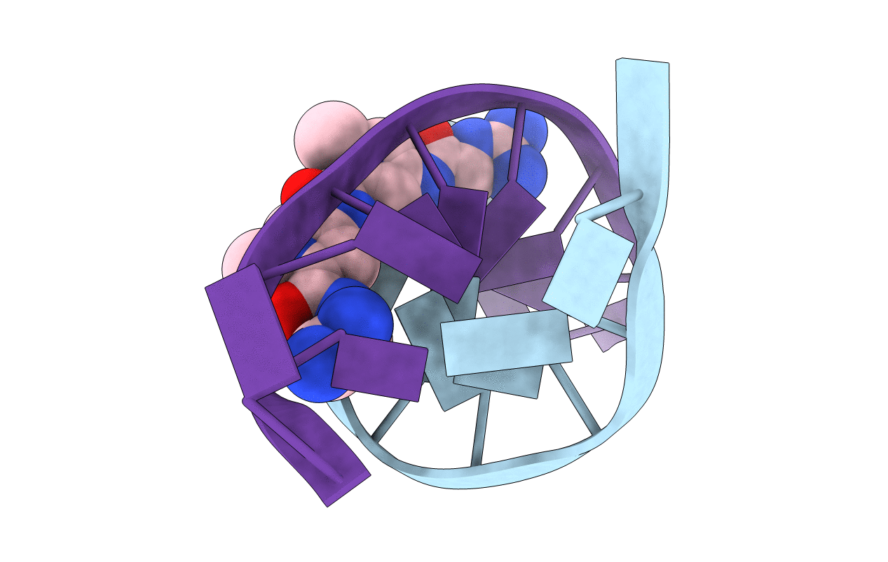 261D image