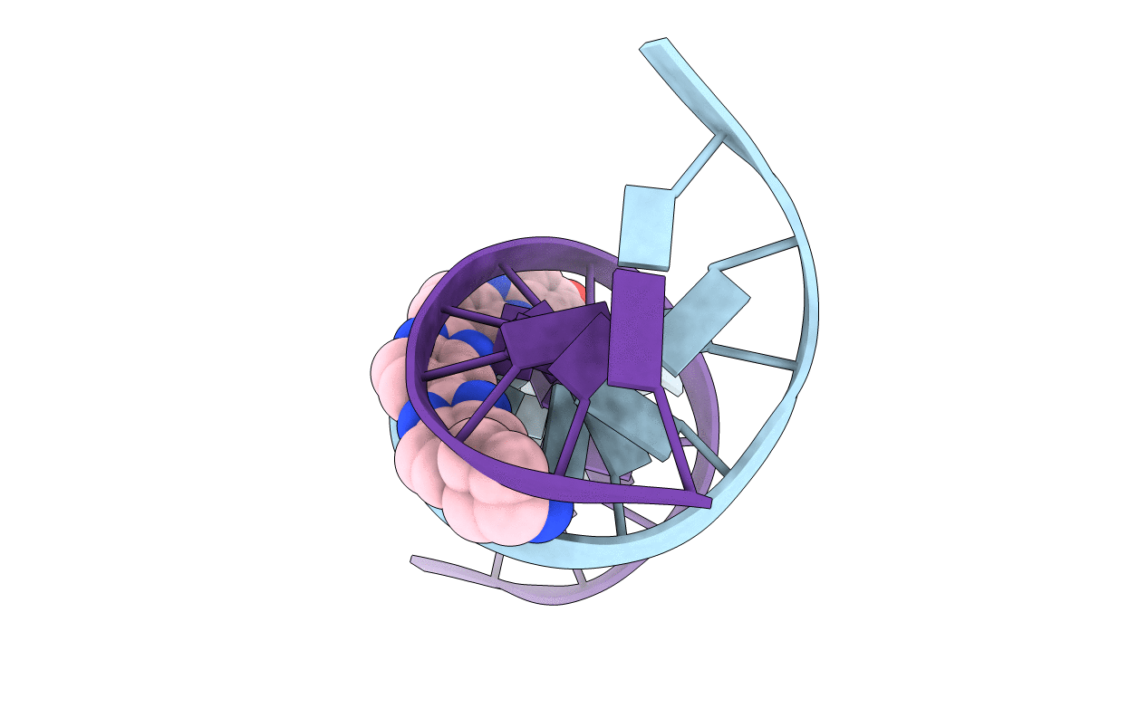 263D image