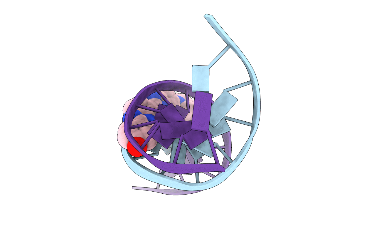 264D image
