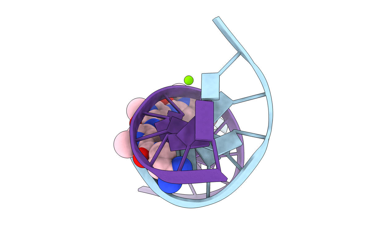 267D image