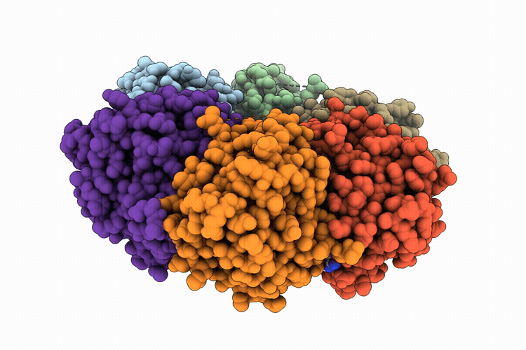 26QX image