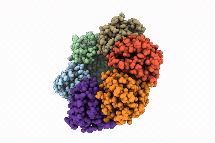 26RC image