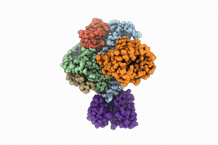 26XH image