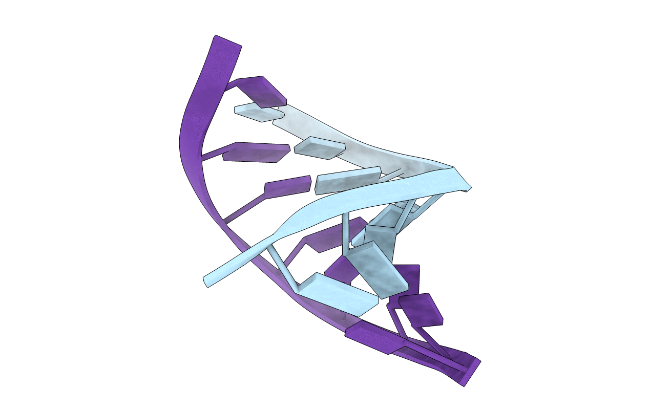 281D image