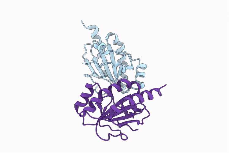 28DB image