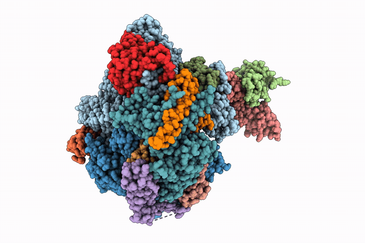 28JC image