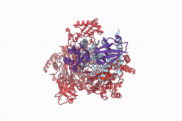 28MQ image