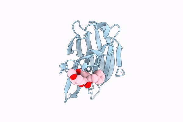 28RY image