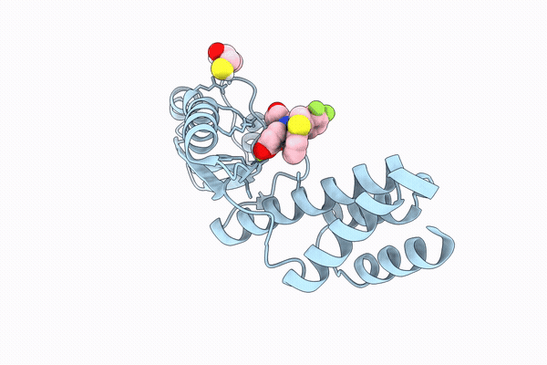 28UC image