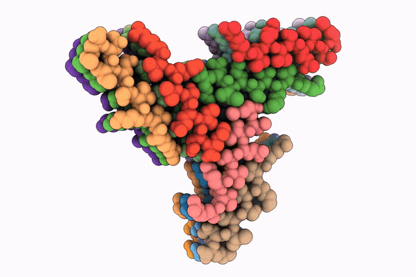 28YD image