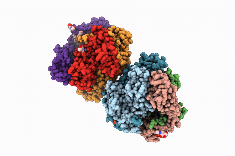 28ZB image