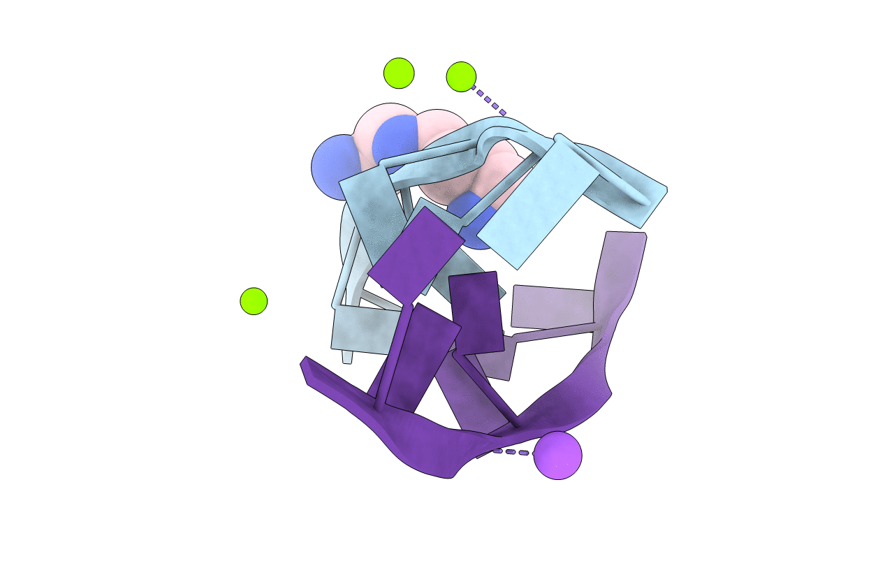 292D image