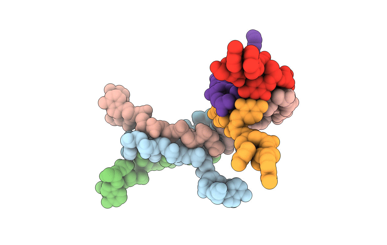 294D image