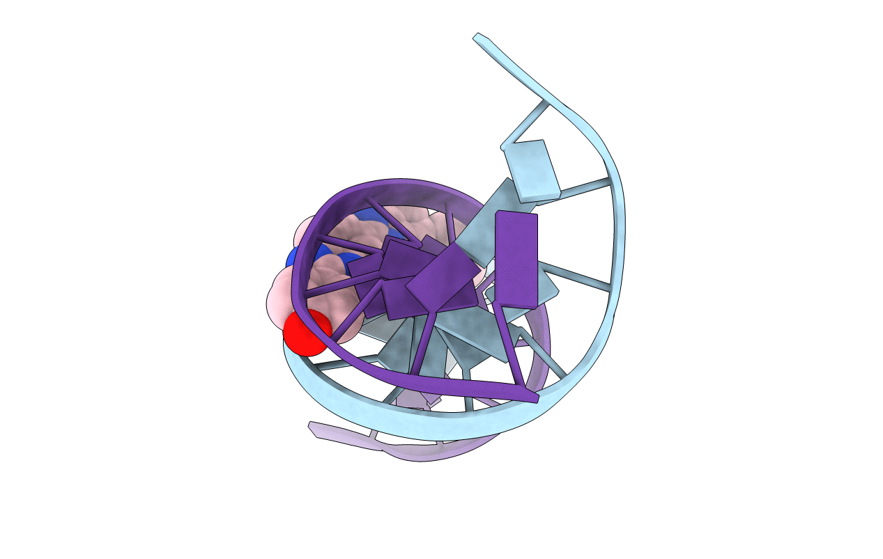 296D image