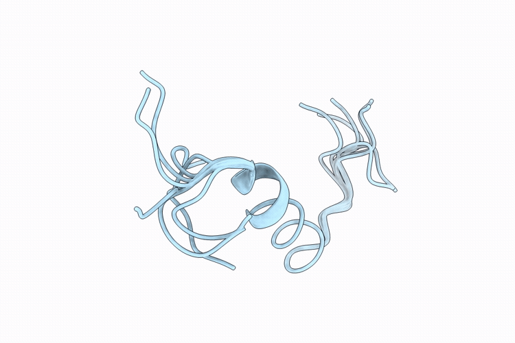 29CK image