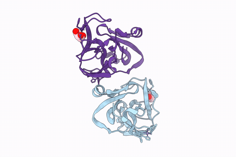 29JC image