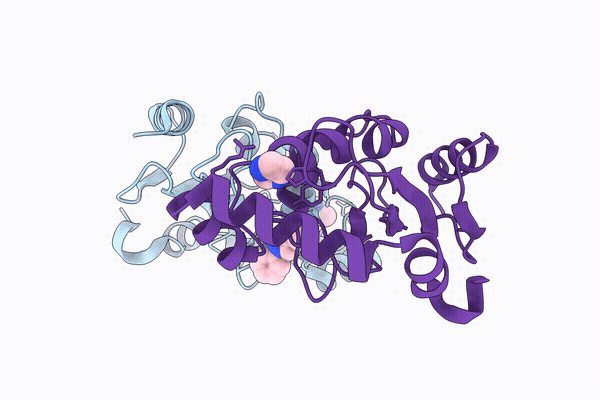 29LP image