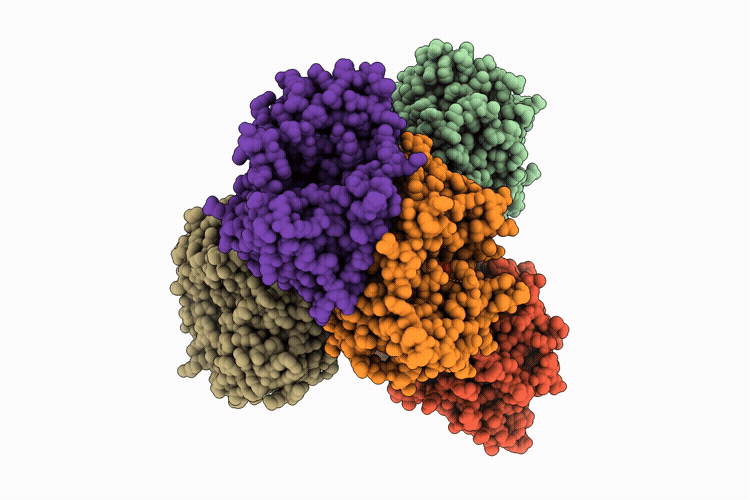 29MQ image