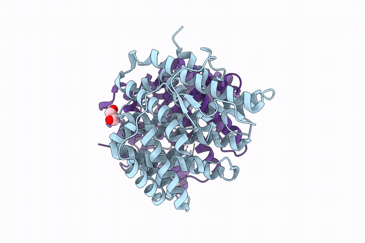 29MS image