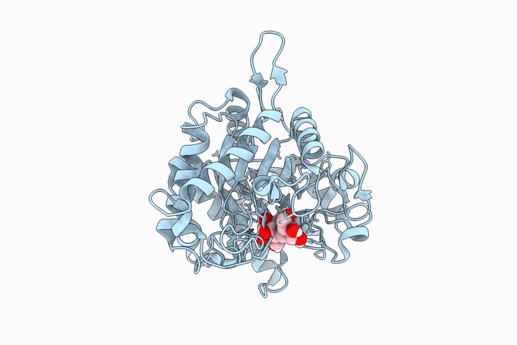 29QD image