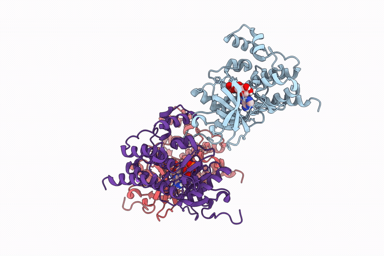 29RX image