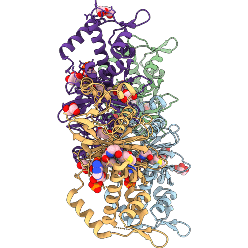 29UQ image
