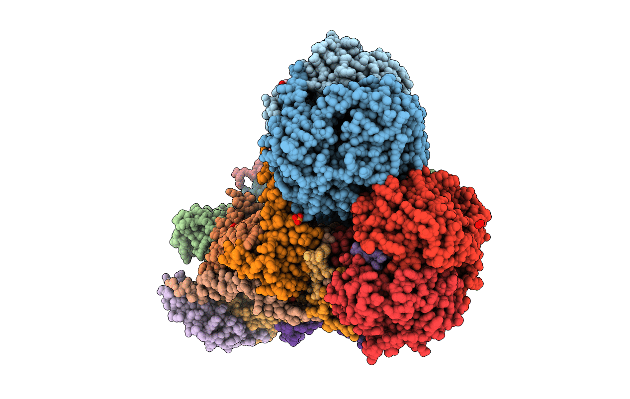 2A06 image