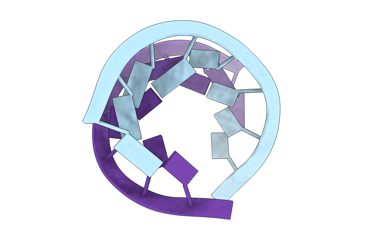 2A0P image
