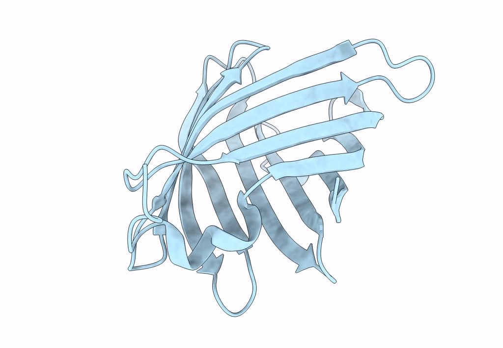 2A13 image