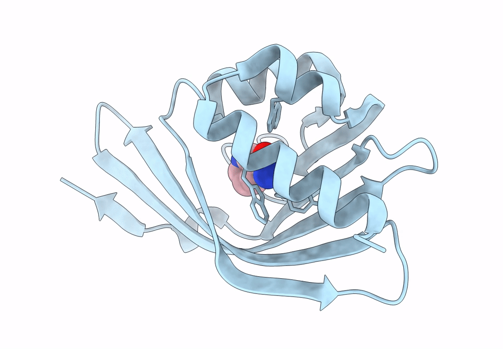 2A15 image