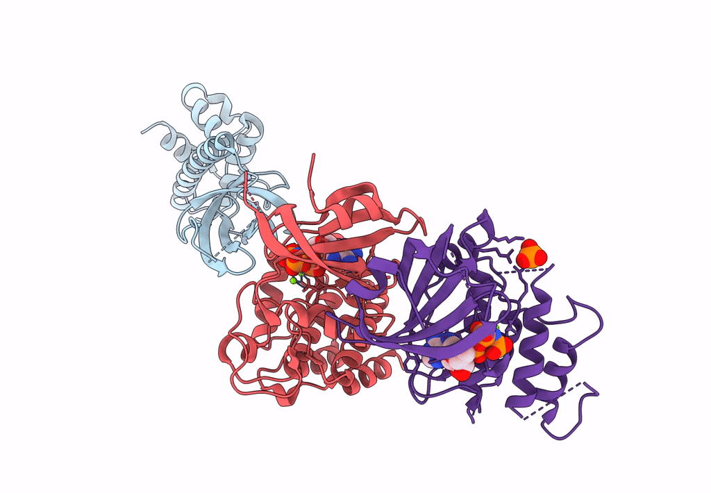 2A19 image
