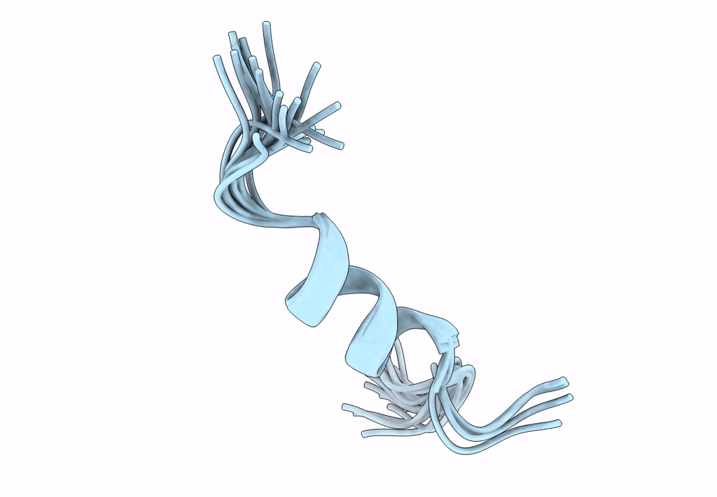2A1C image
