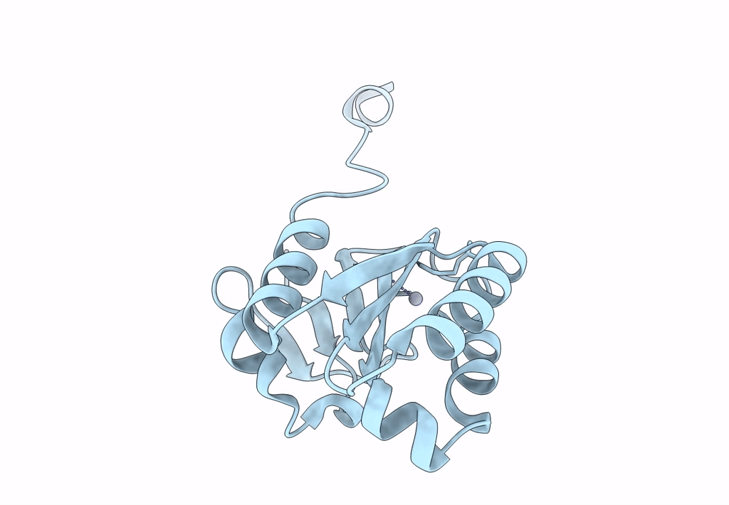 2A1I image
