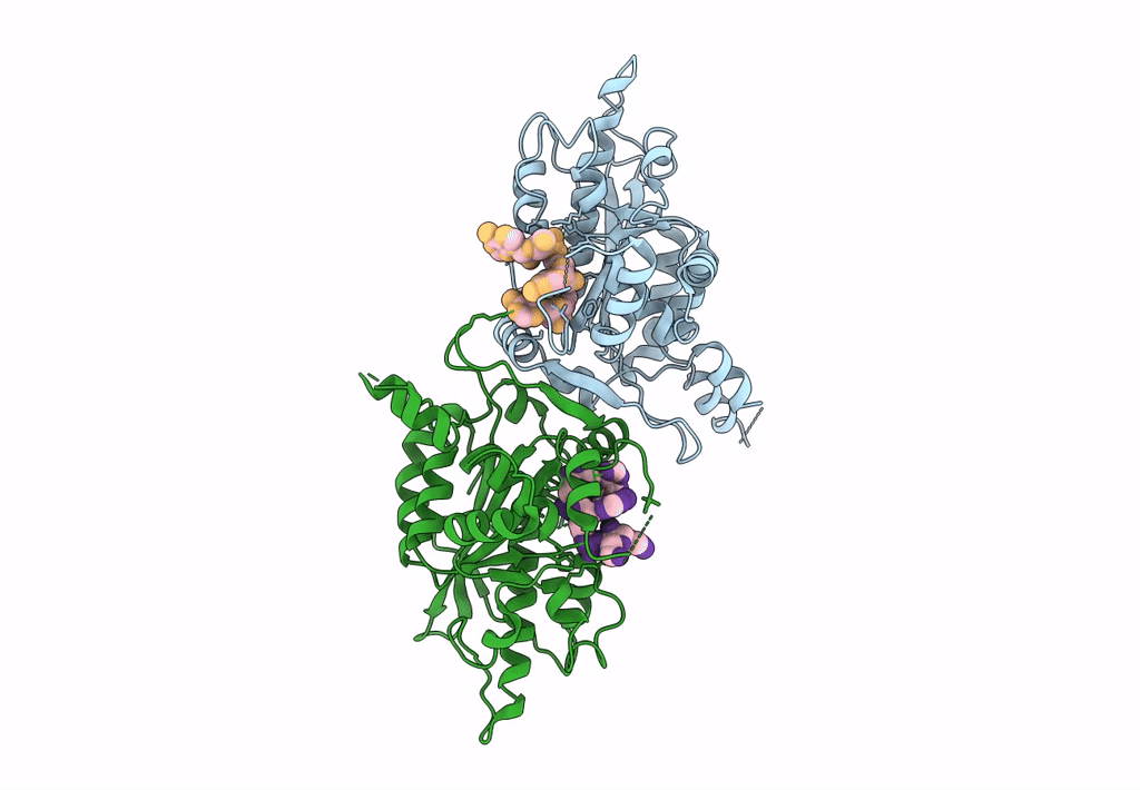 2A1R image
