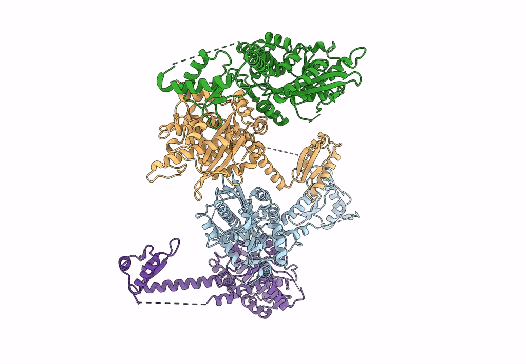 2A1S image