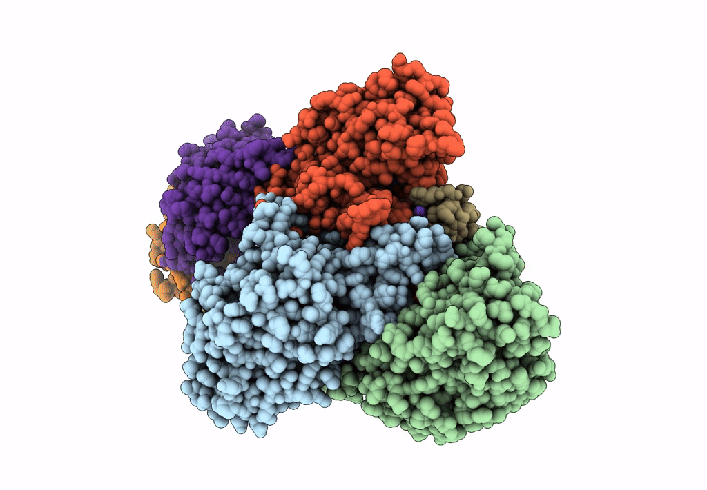 2A1T image