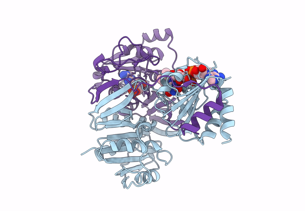 2A1U image