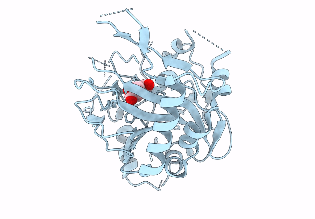 2A1X image