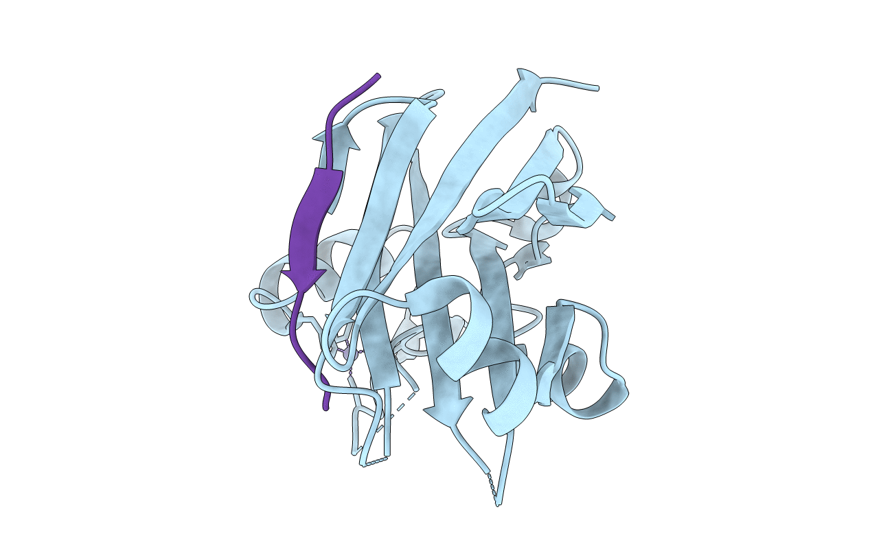 2a25 image