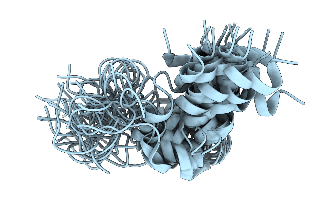 2A2B image