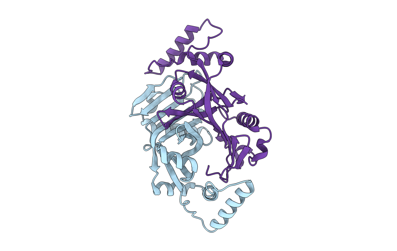2A2J image